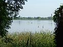 szate (135)
